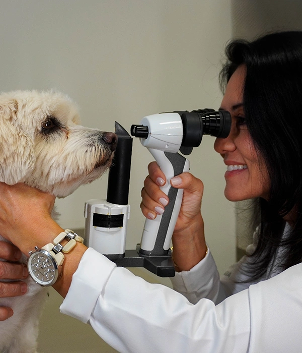 Dra. Daniela Mantovani — Oftalmologista Veterinária
