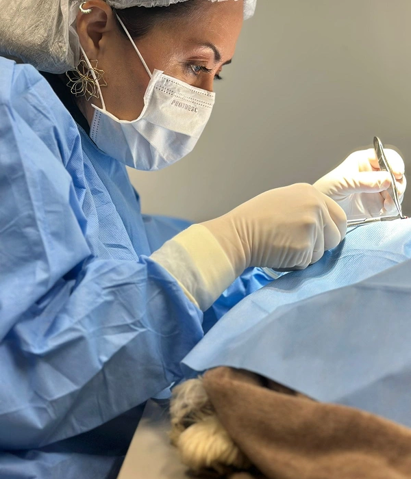 Dra. Daniela Mantovani — Oftalmologista Veterinária